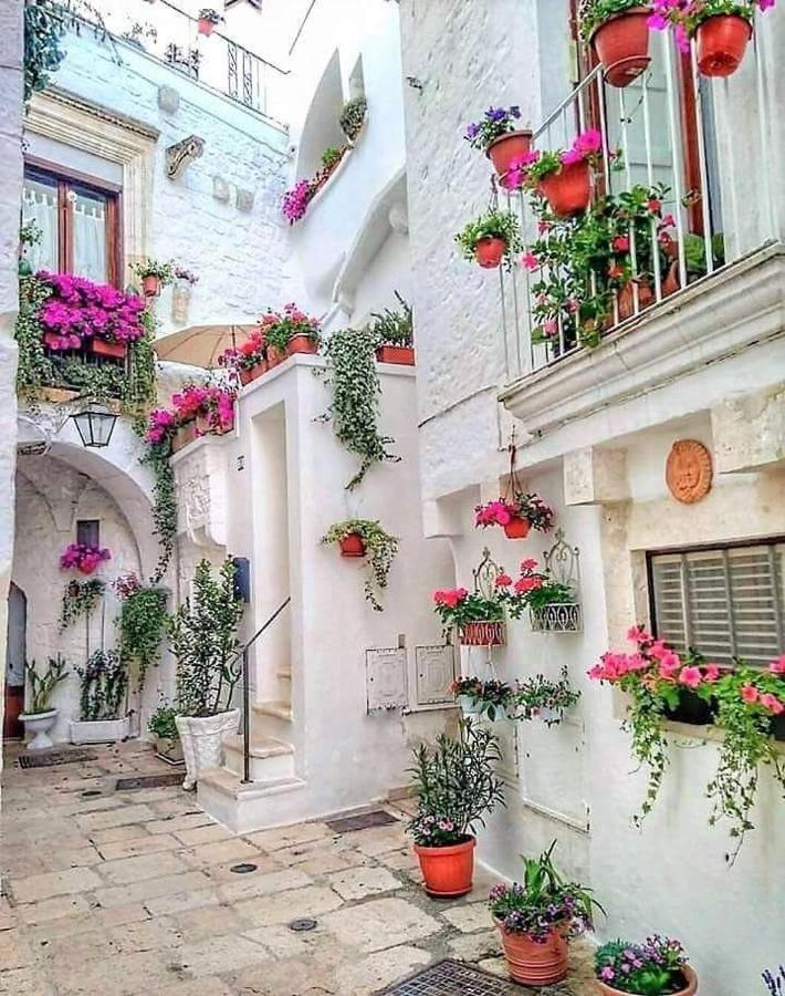 Buze Rodriguez Suite Ostuni Dış mekan fotoğraf